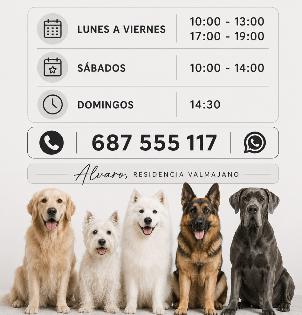 Horario